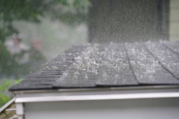 Best Roof Waterproofing  in Dent, OH