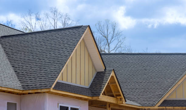Best Skylight Installation and Repair  in Dent, OH